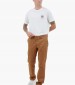 Men Pants Twill.Chino Brown Cotton GANT