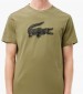 Men T-Shirts Sport.Print23 Khaki Cotton Lacoste