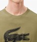 Men T-Shirts Sport.Print23 Khaki Cotton Lacoste