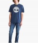 Men T-Shirts A2C2R Blue Cotton Timberland