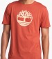 Men T-Shirts A2C2R Bordo Cotton Timberland