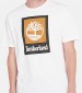 Men T-Shirts A5QS2 White Cotton Timberland