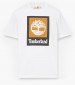 Men T-Shirts A5QS2 White Cotton Timberland