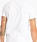 Men T-Shirts A6GH1.3pack Multi Cotton Timberland