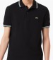 Men T-Shirts PH9875 Black Cotton Lacoste