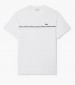 Men T-Shirts TH9842 White Cotton Lacoste